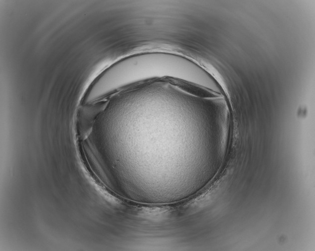 X0000096190997200802011403