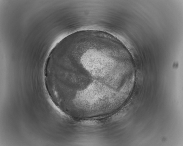 X0000096190998200802011403