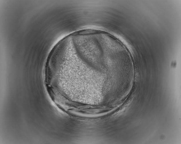 X0000096190999200802011403