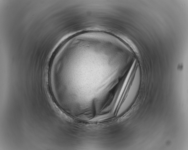 X0000096191000200802011403