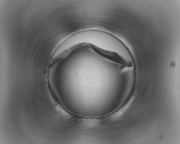 X0000096191001200802011403