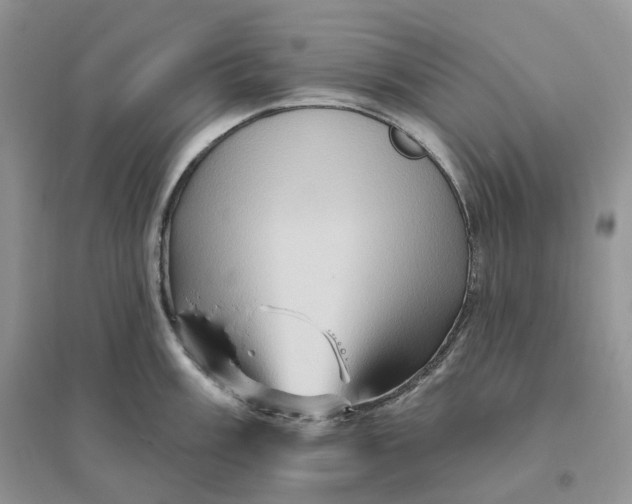 X0000096191003200802011403