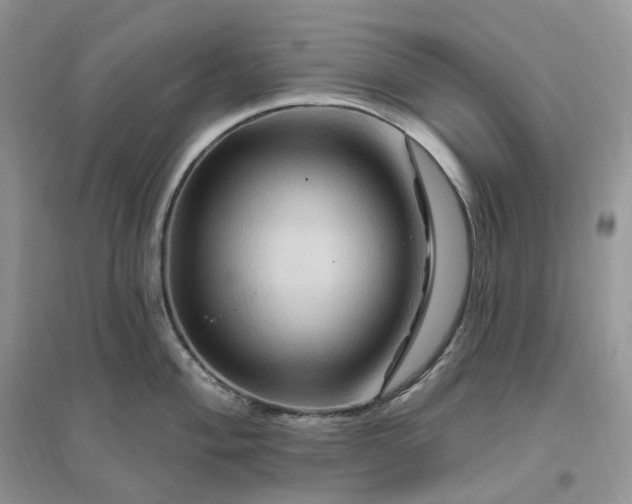 X0000096191004200802011403