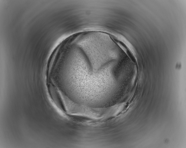 X0000096191005200802011403