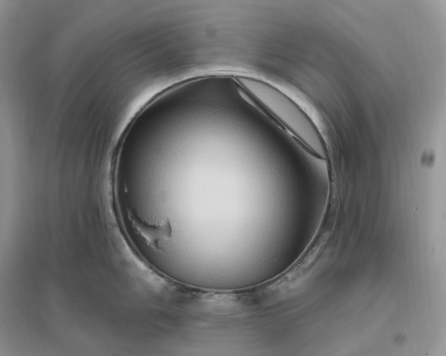 X0000096191006200802011403