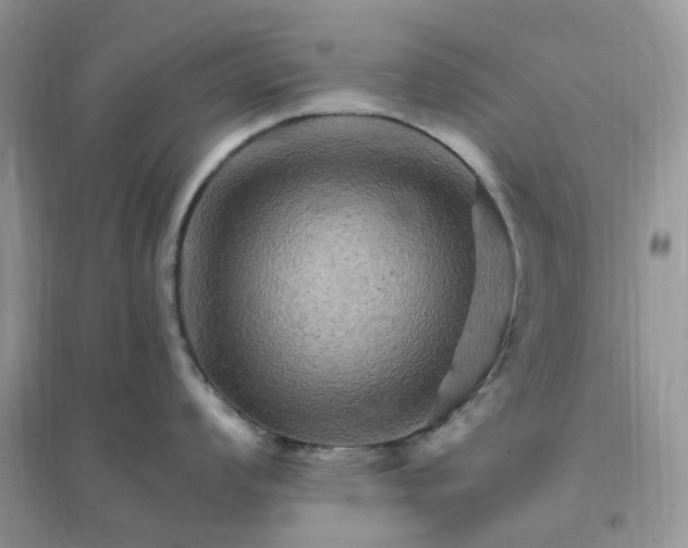 X0000096191008200802011403