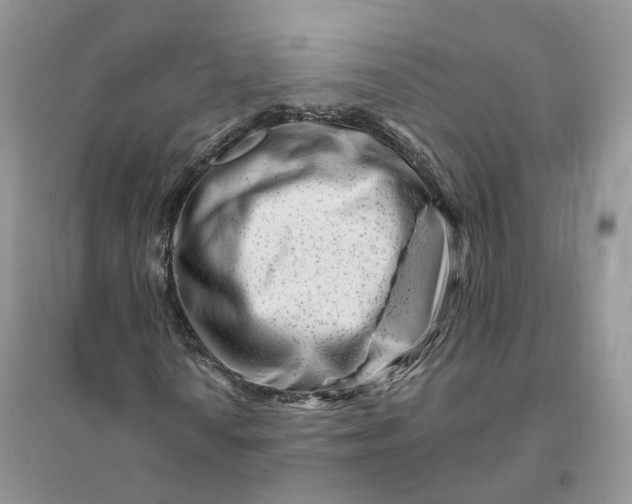 X0000096191010200802011402