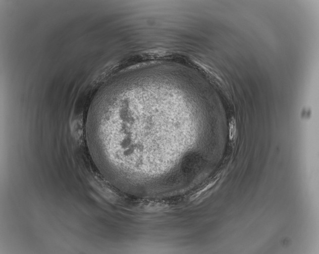 X0000096191011200802011402