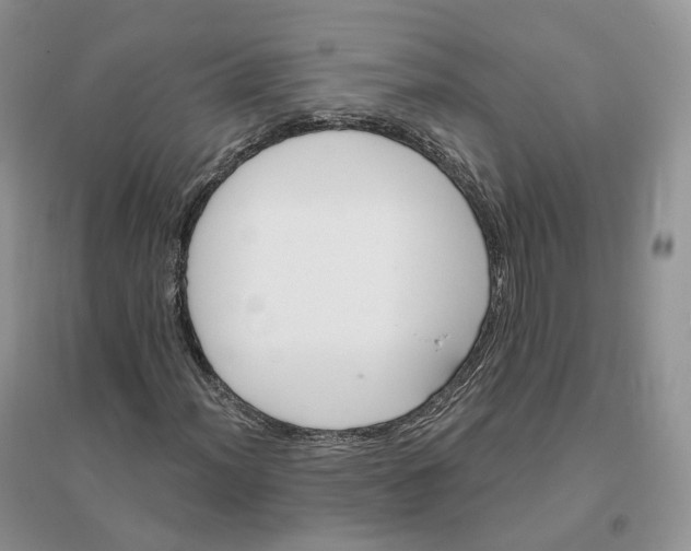 X0000096191012200802011402