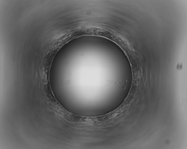 X0000096191013200802011402