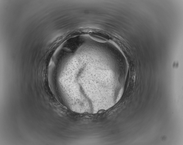 X0000096191014200802011402