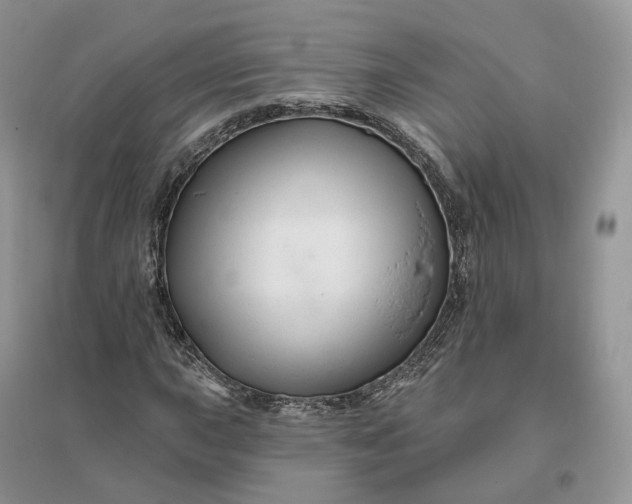 X0000096191015200802011402