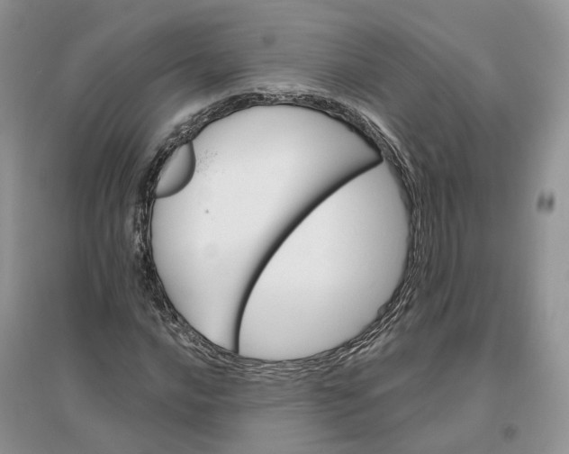 X0000096191016200802011402