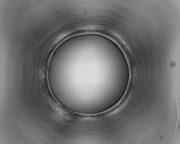 X0000096191017200802011402