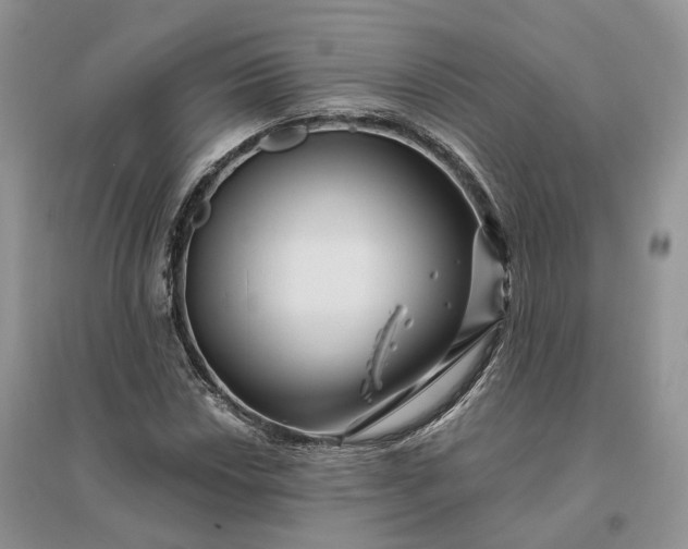 X0000096191018200802011402