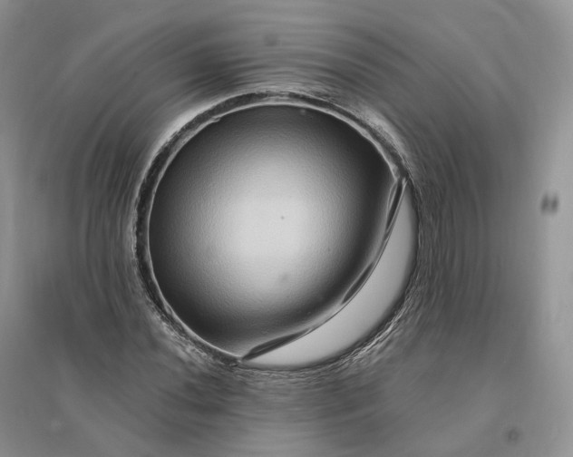 X0000096191020200802011402