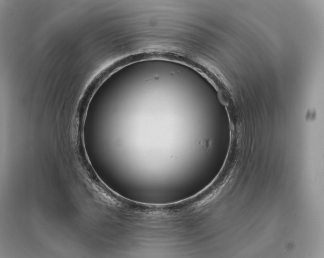 X0000096191021200802011402