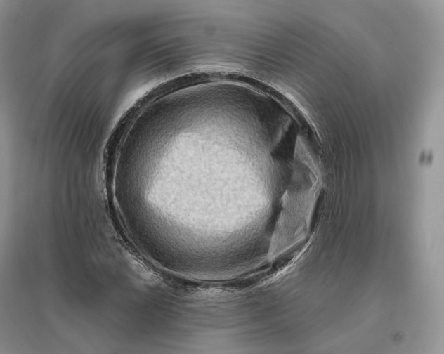 X0000096191022200802011402