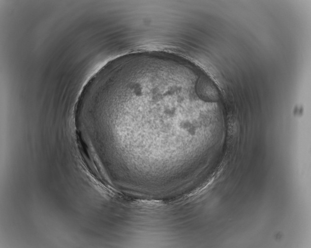 X0000096191023200802011402