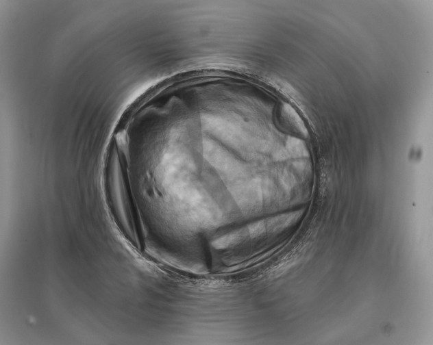 X0000096191024200802011402