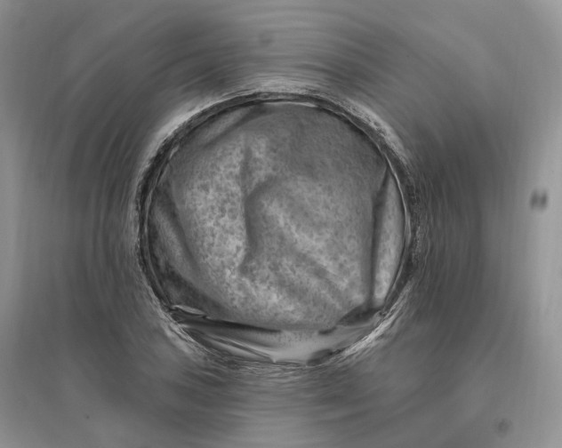 X0000096191027200802011402