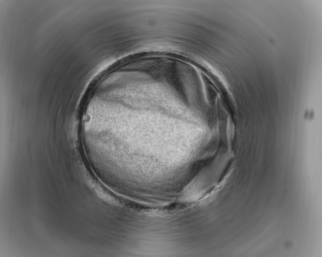 X0000096191029200802011402