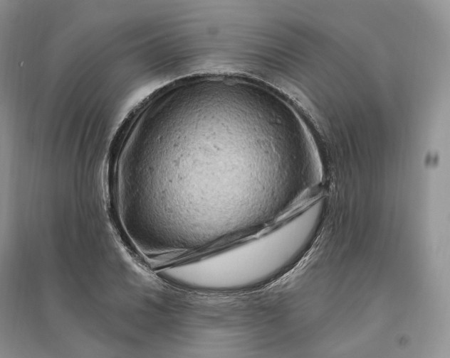 X0000096191030200802011402