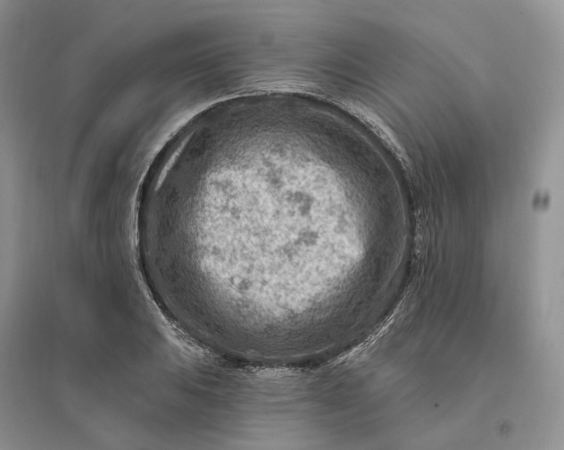 X0000096191031200802011402