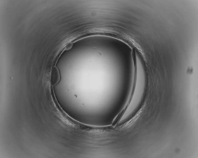 X0000096191033200802011402