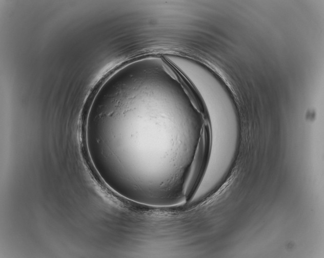 X0000096191034200802011402