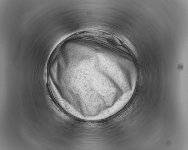 X0000096191036200802011402