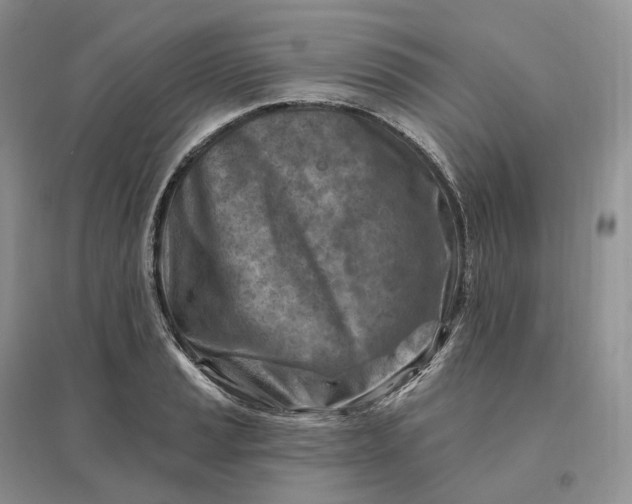 X0000096191037200802011402