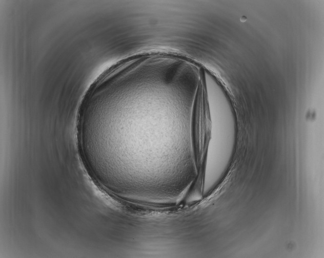 X0000096191038200802011402