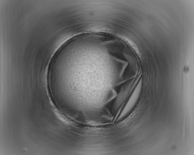 X0000096191039200802011402