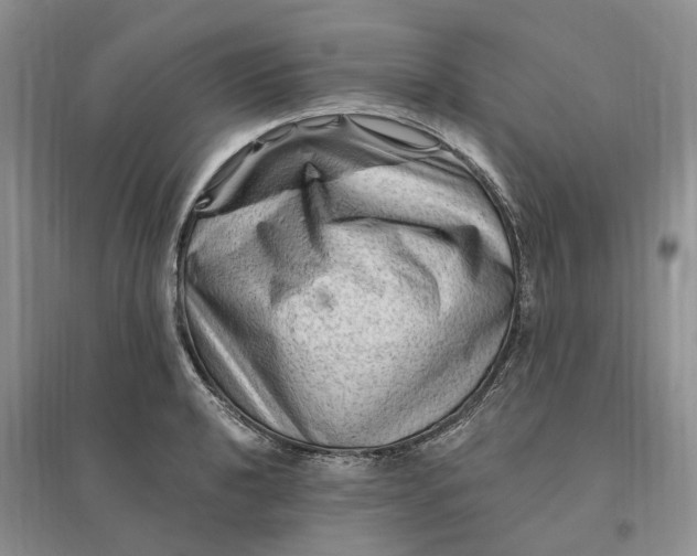 X0000096191040200802011402