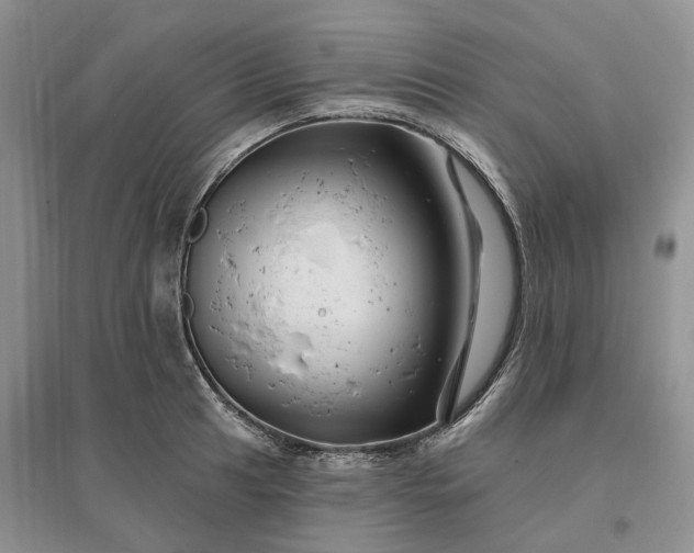 X0000096191041200802011402