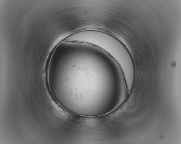 X0000096191042200802011402