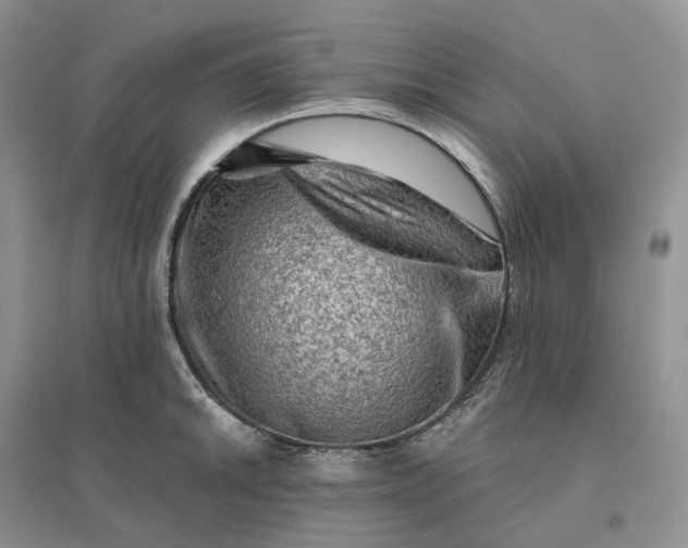 X0000096191046200802011402