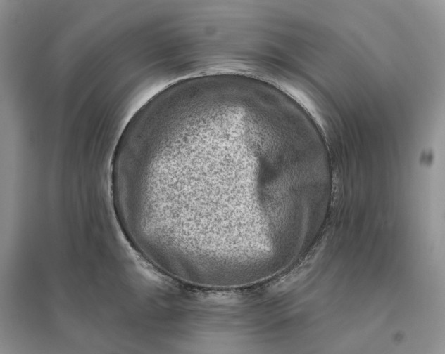 X0000096191047200802011402