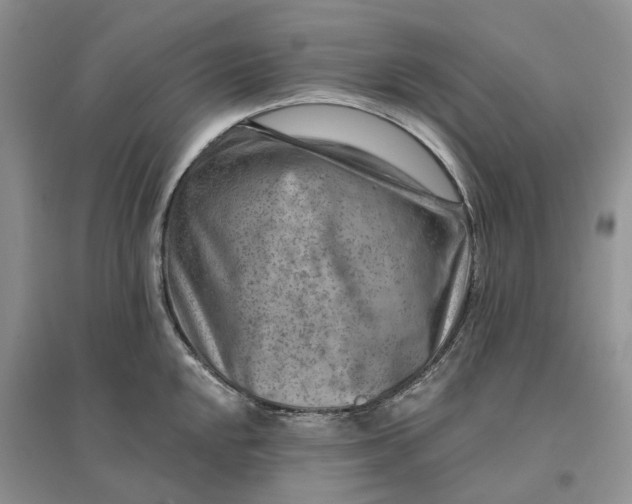 X0000096191048200802011402