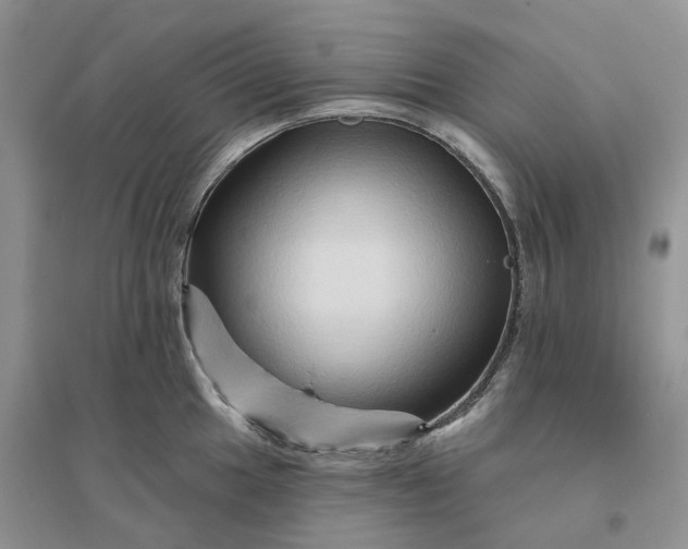 X0000096191049200802011402