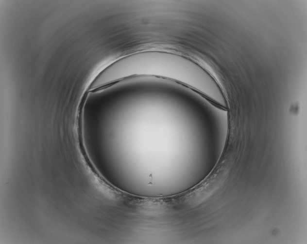 X0000096191050200802011402