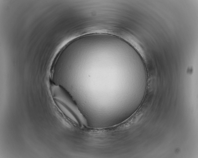 X0000096191051200802011402