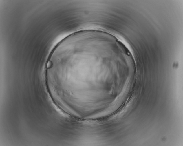 X0000096191053200802011403