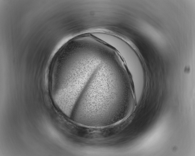 X0000096191054200802011403