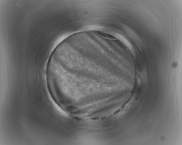 X0000096191055200802011403