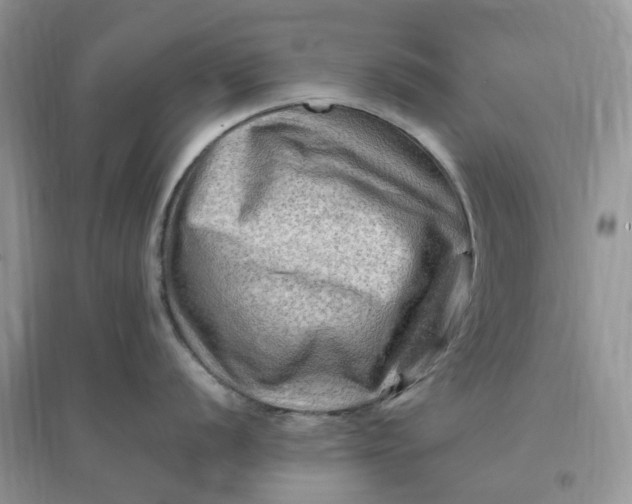 X0000096191056200802011403