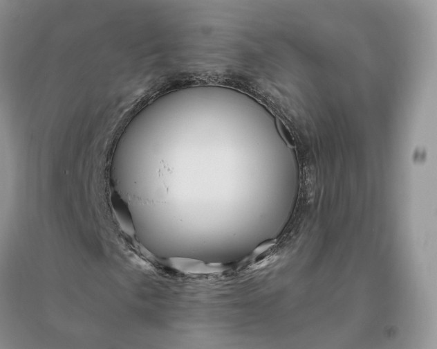 X0000096191057200802011402