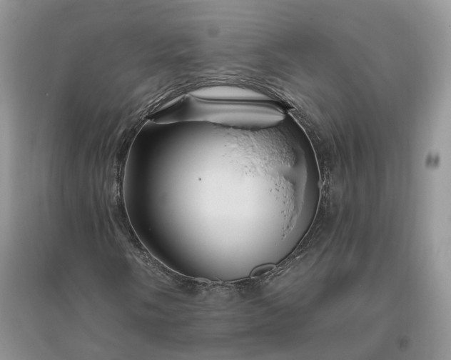 X0000096191058200802011402