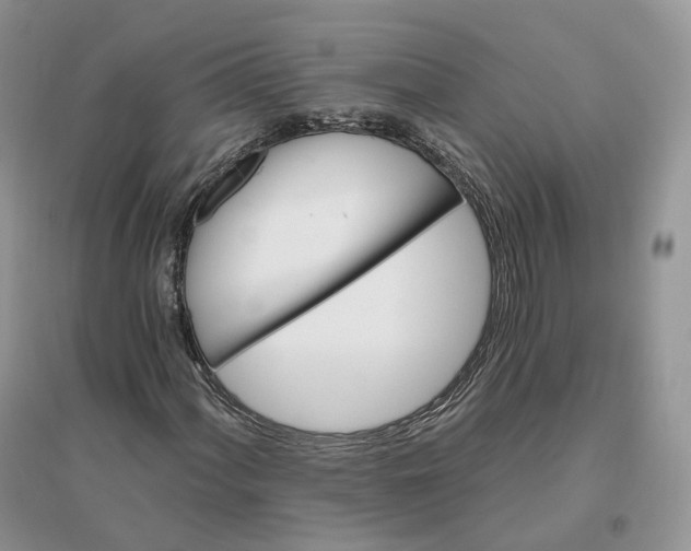 X0000096191060200802011402